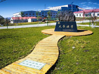 宜宾天华矿业集团